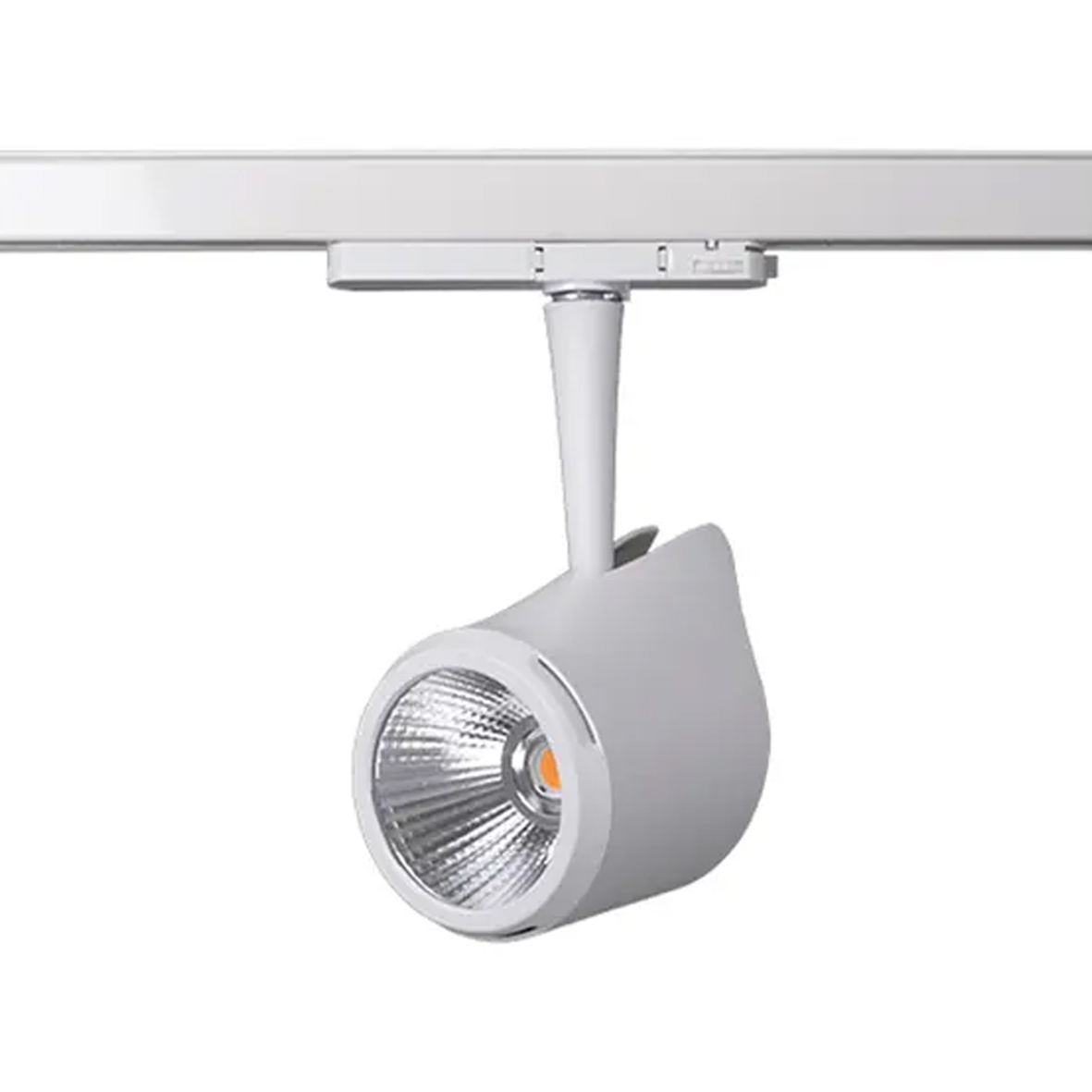 SP2110126 (+) - XXXP40W